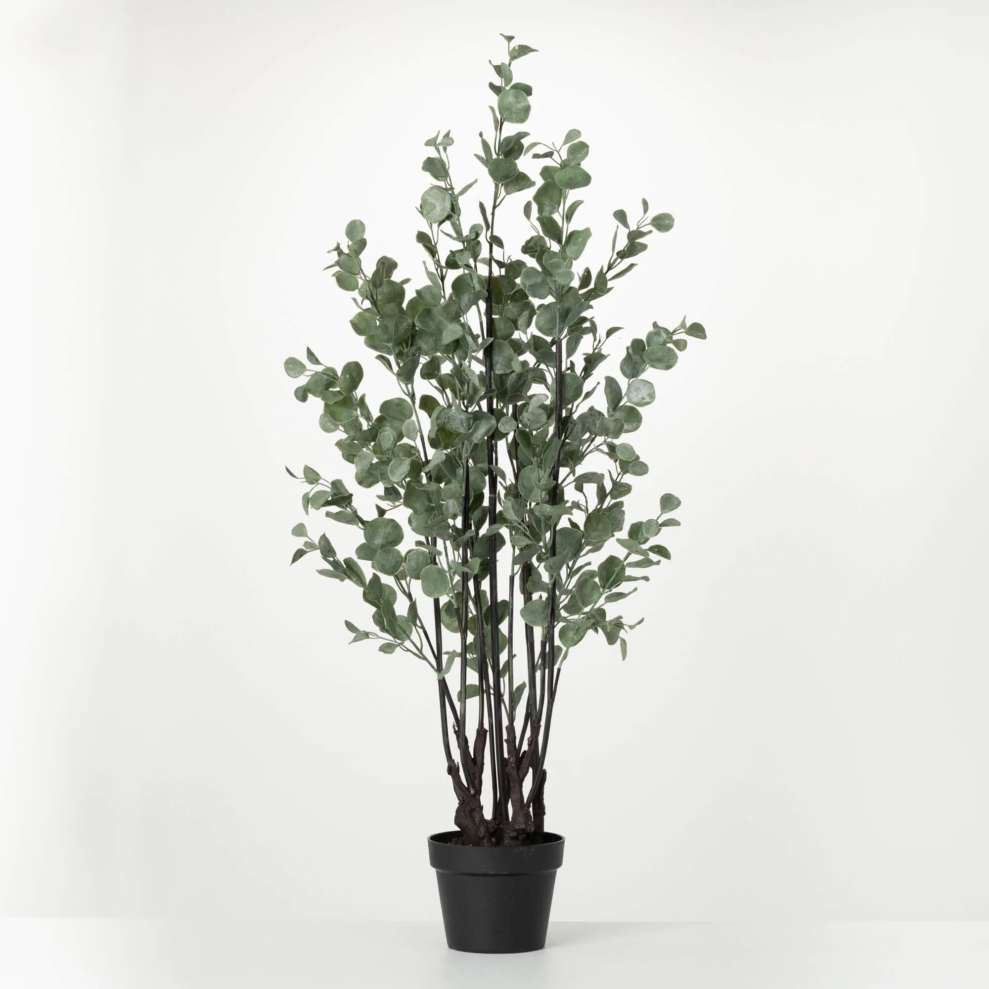 46"H Sullivans Robust Potted Eucalyptus Tree, Green