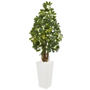 5’ Schefflera Artificial Tree in White Tower Planter