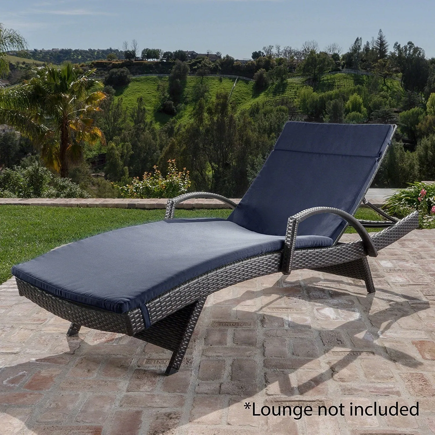 Christopher Knight Home 633 Salem Chaise Outdoor Lounge (Set of 2)