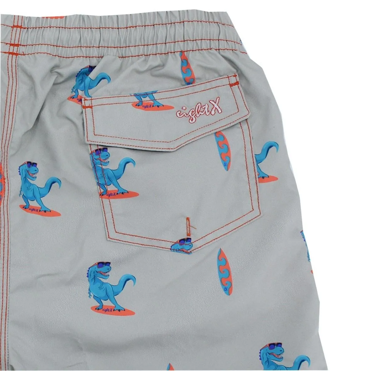 Gray Surfing T-Rex Swim Trunks by EightX